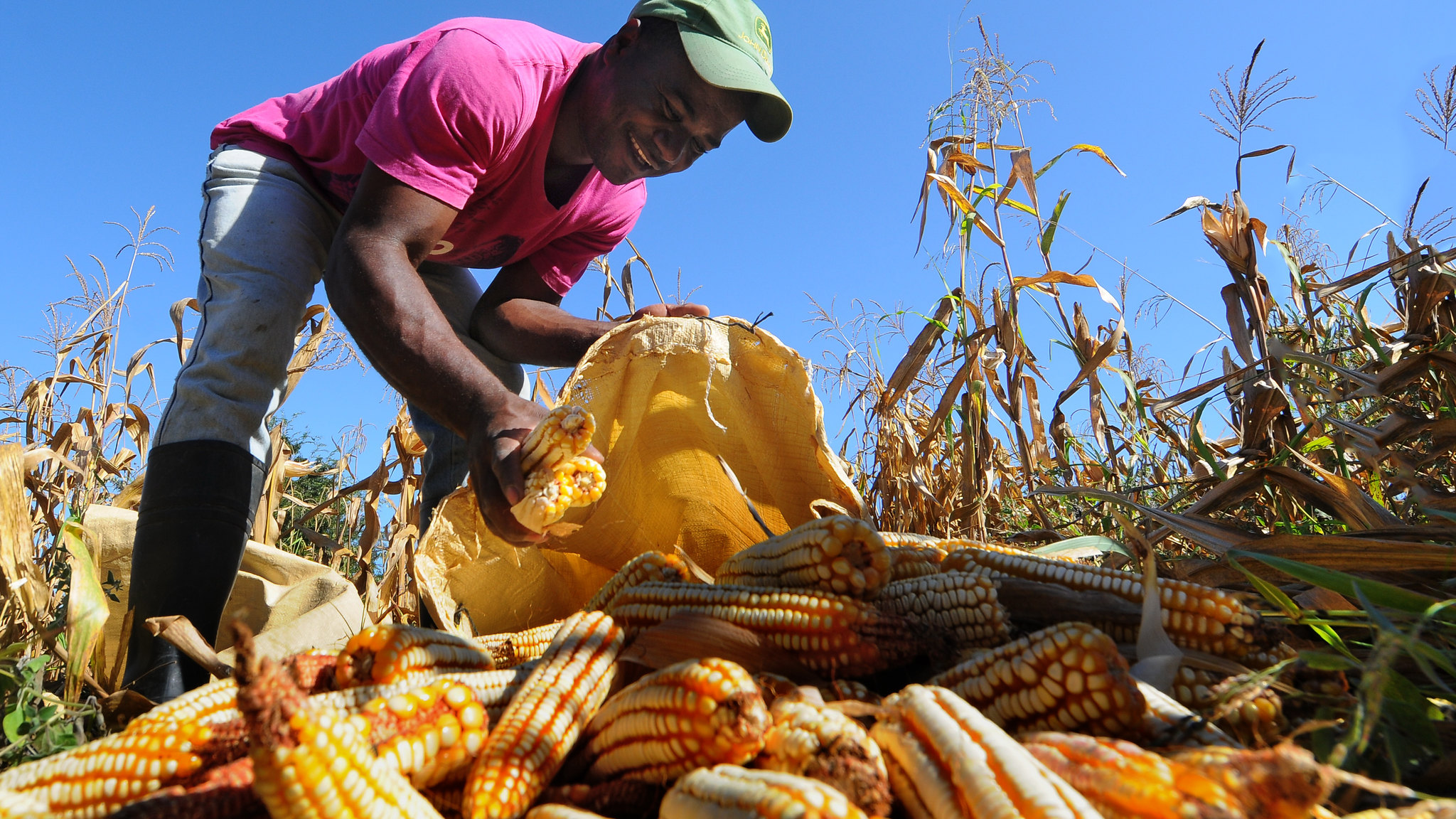 FAO destaca reducción de la pobreza en República Dominicana