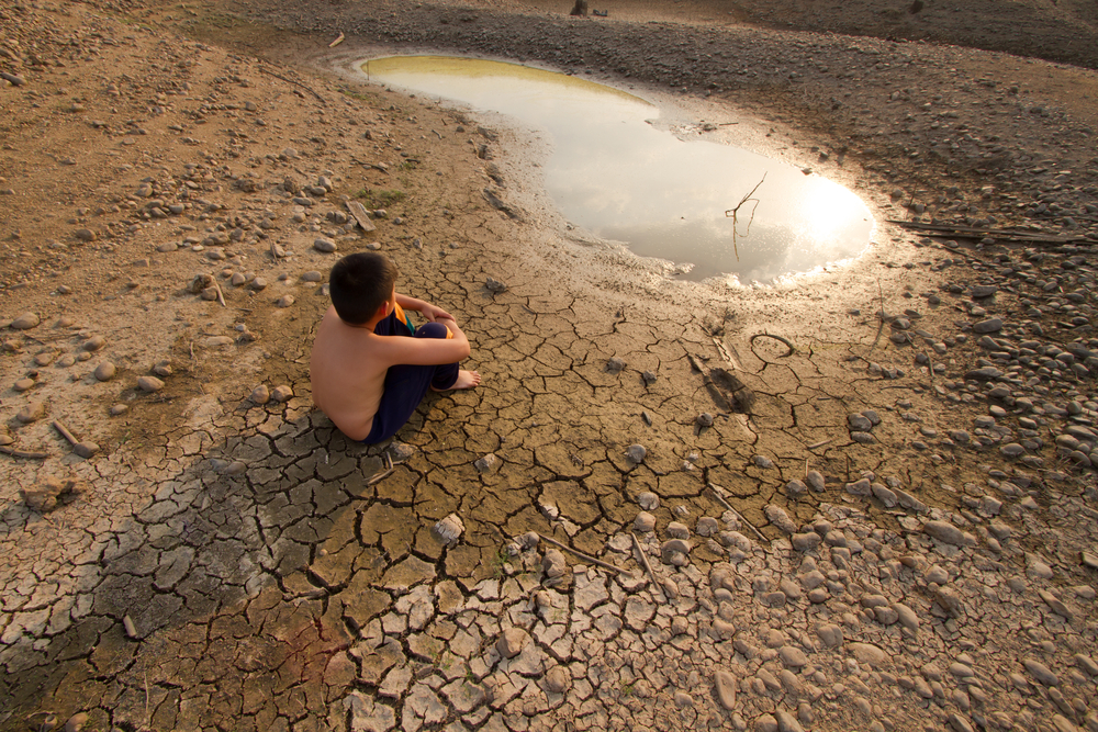 El cine y el cambio climático