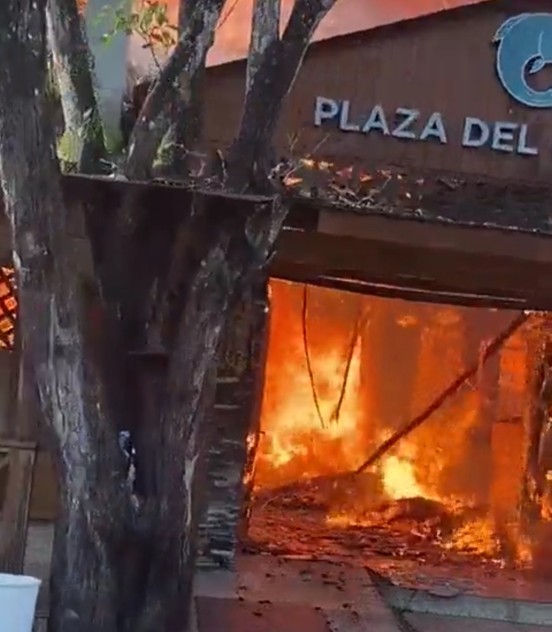 Incendio destruye restaurante en Boca Chica