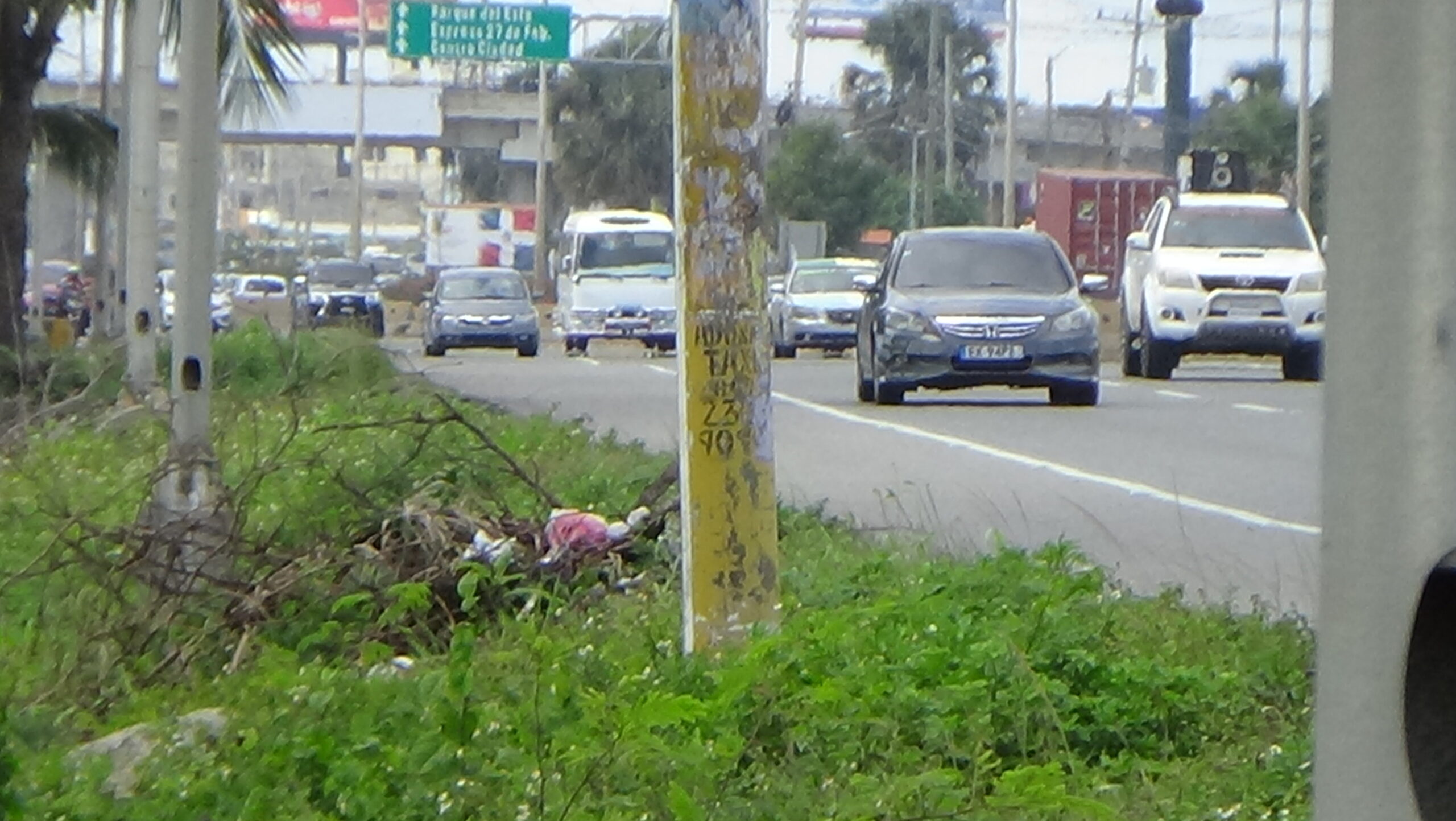 Autopista Las Américas luce abandonada