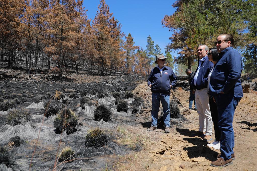 República Dominicana plantará dos árboles por cada uno arrasado en incendios