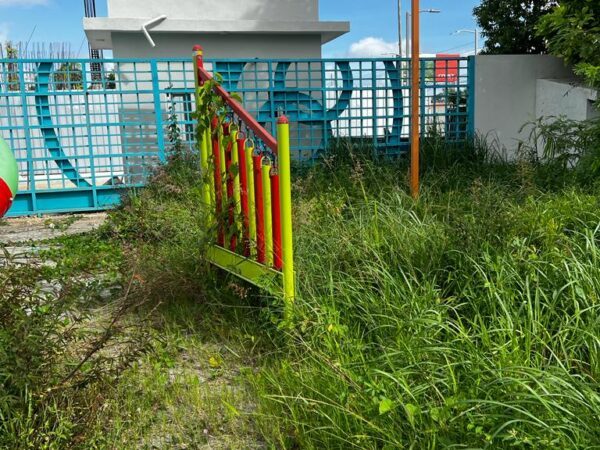 Denuncian abandono de parque en SDE