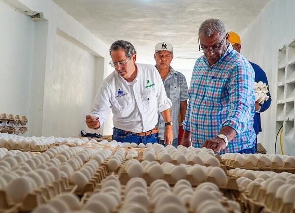 INESPRE compra pollos y huevos a productores de Dajabón