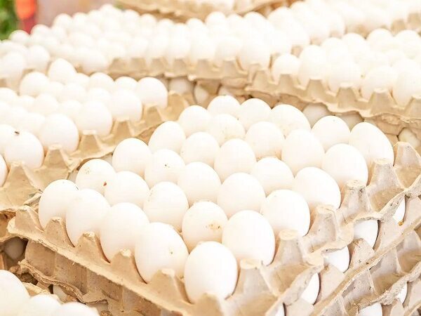 República Dominicana dispone venta huevos a 100 pesos en 76 supermercados