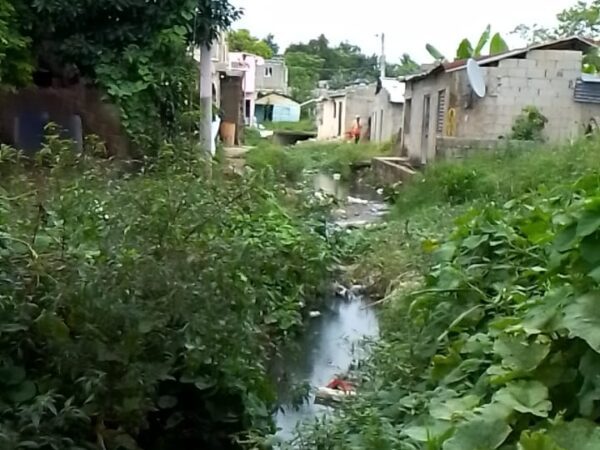 Residentes del sector Las Flores de Punta denuncian deterioro de calle