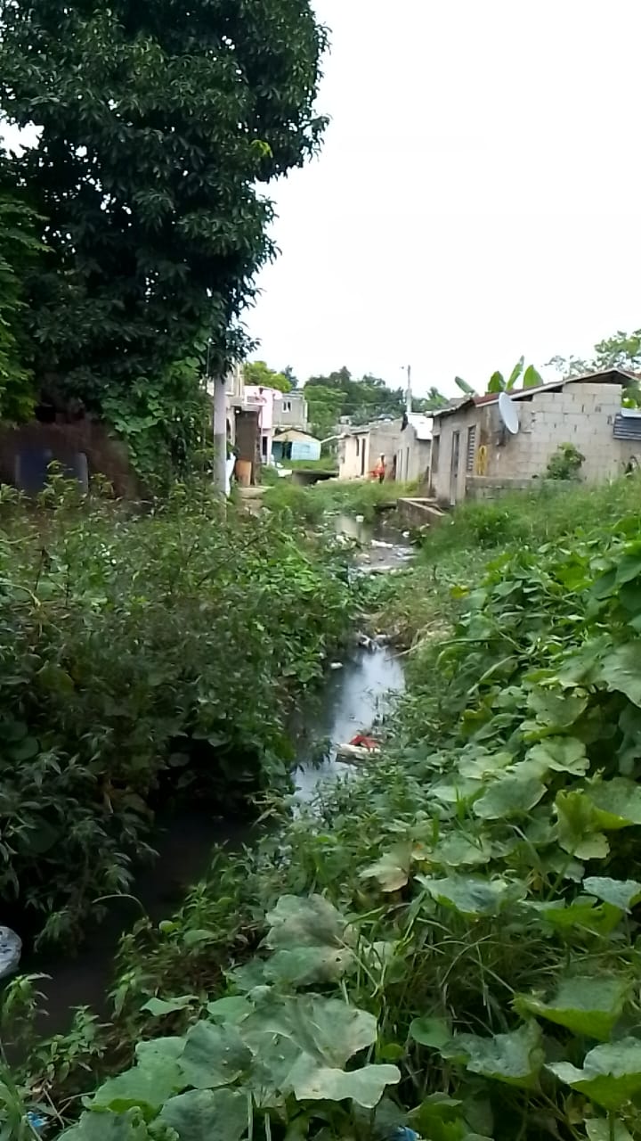 Residentes del sector Las Flores de Punta denuncian deterioro de calle