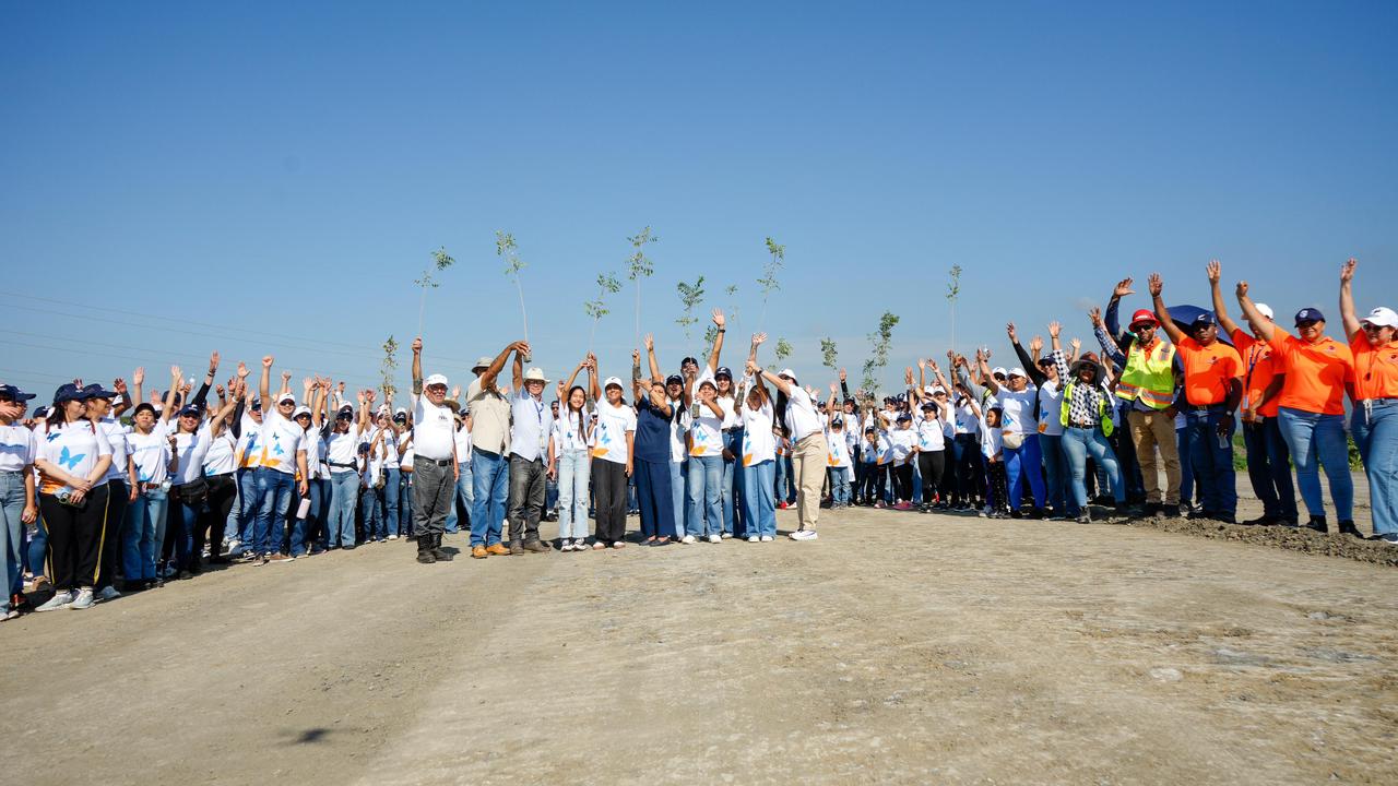 Voluntariado Banreservas siembra 1,500 caobas criollas en Navarrete