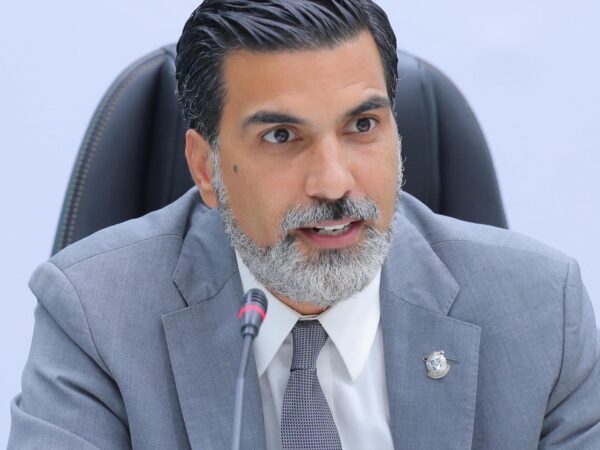 Diputado busca reformar la Ley Orgánica del Régimen Electoral 15-19