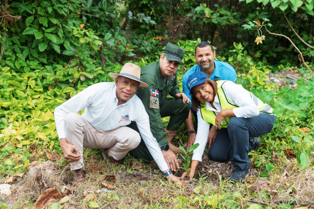 Ayuntamiento del Distrito Nacional planta 500 árboles y recolecta 150 fundas de desechos plásticos