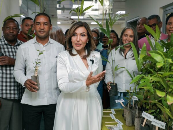 Gabinete de Política Social impulsa la reforestación