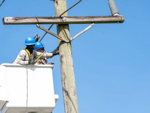 ETED realizará trabajos de mantenimiento