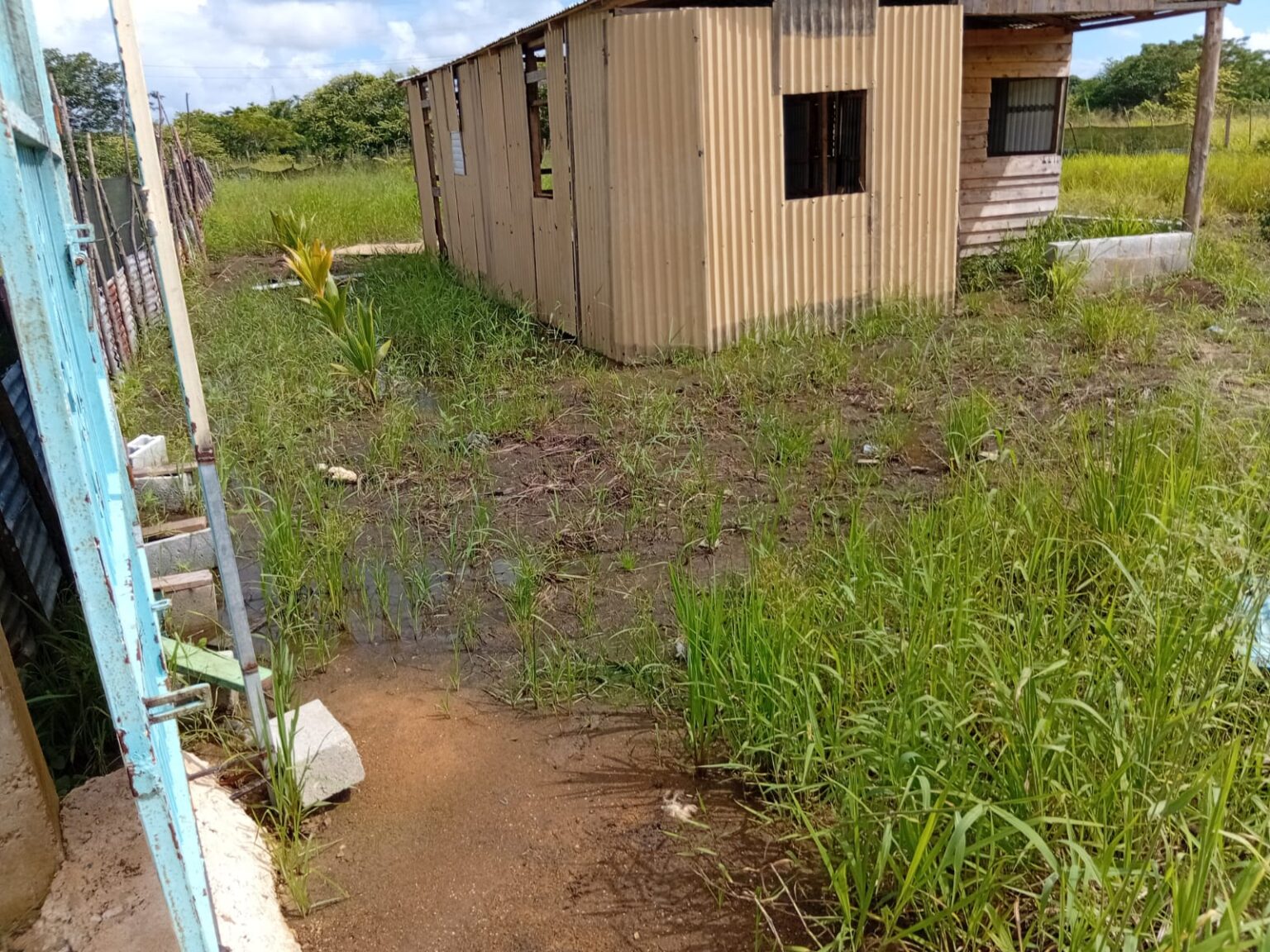 Comerciante denuncia presunta invasión de terrenos de su propiedad y señala a funcionario del SNS