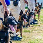 AERODOM entrega 18 perros K-9 al CESAC