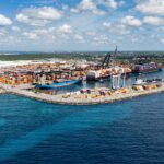 DP World y Fundación Verde Profundo avanzan en restauración de manglares en Boca Chica