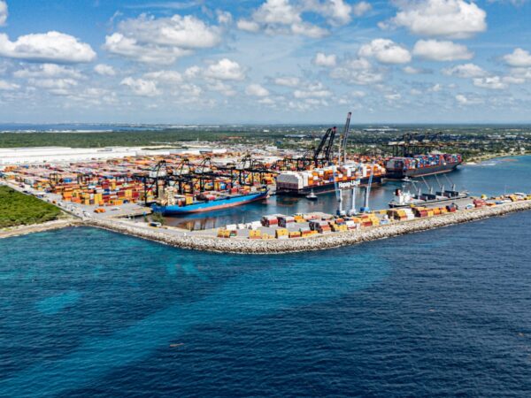 DP World y Fundación Verde Profundo avanzan en restauración de manglares en Boca Chica