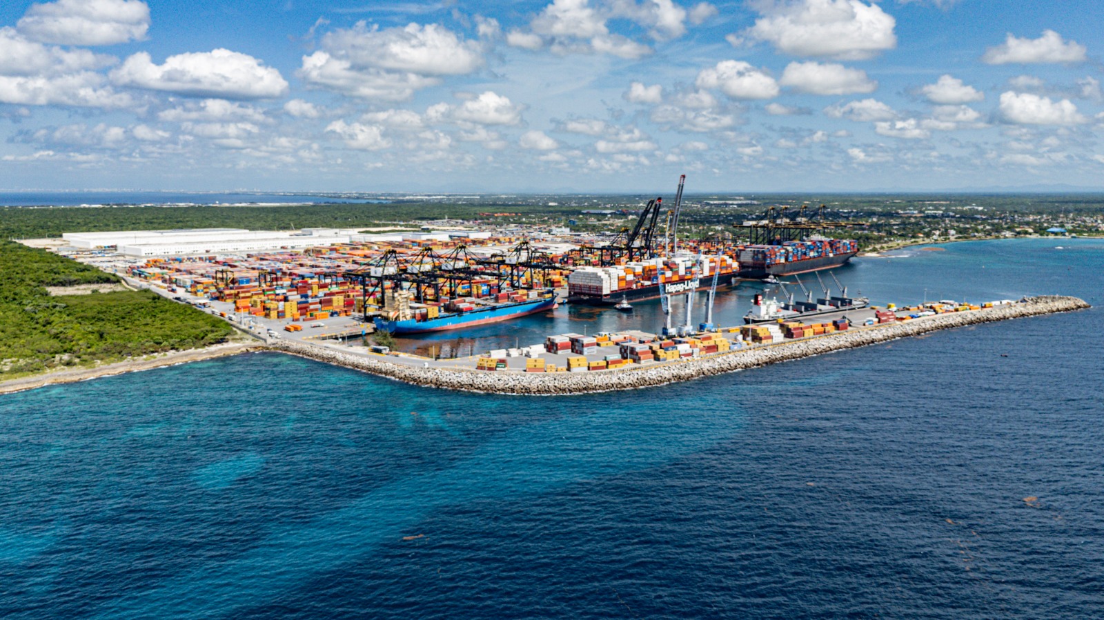 DP World y Fundación Verde Profundo avanzan en restauración de manglares en Boca Chica